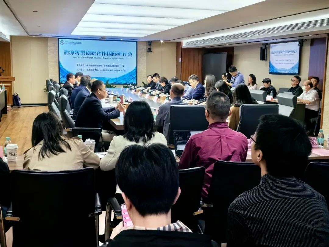 能源转型创新合作国际调研活动圆满结束